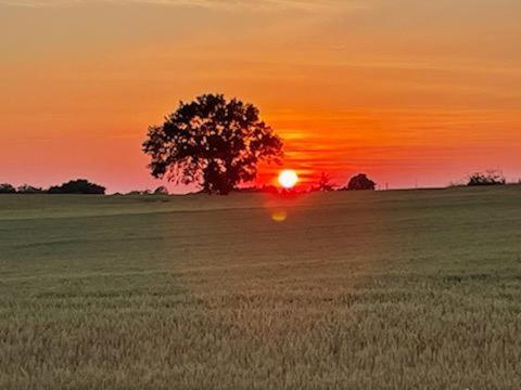 Les Cypres De Crose I Villa Badefols-sur-Dordogne Bagian luar foto