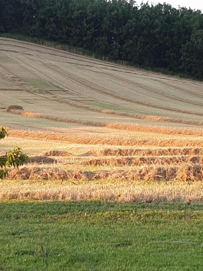 Les Cypres De Crose I Villa Badefols-sur-Dordogne Bagian luar foto