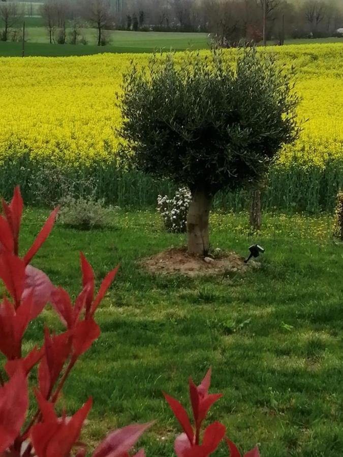 Les Cypres De Crose I Villa Badefols-sur-Dordogne Bagian luar foto